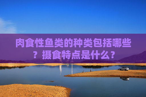 肉食性鱼类的种类包括哪些？摄食特点是什么？