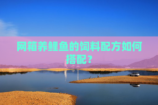 网箱养鲤鱼的饲料配方如何搭配？