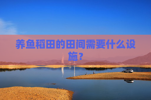 养鱼稻田的田间需要什么设施？