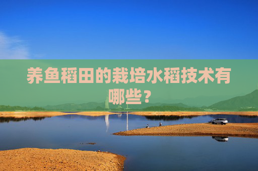 养鱼稻田的栽培水稻技术有哪些？