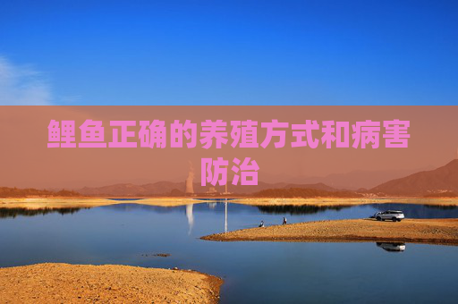 鲤鱼正确的养殖方式和病害防治