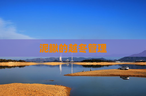 泥鳅的越冬管理