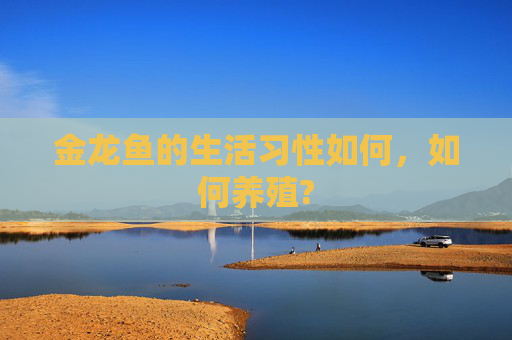 金龙鱼的生活习性如何，如何养殖?