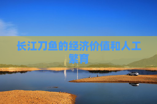 长江刀鱼的经济价值和人工繁育