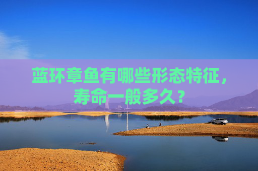 蓝环章鱼有哪些形态特征，寿命一般多久？