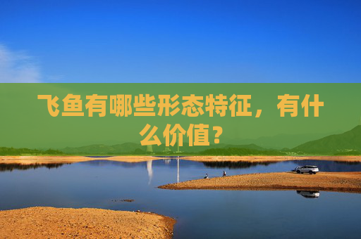 飞鱼有哪些形态特征，有什么价值？
