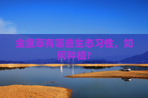 金鱼草有哪些生态习性，如何种植?