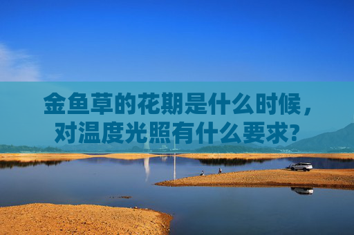 金鱼草的花期是什么时候，对温度光照有什么要求?