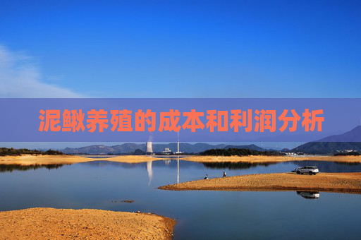 泥鳅养殖的成本和利润分析