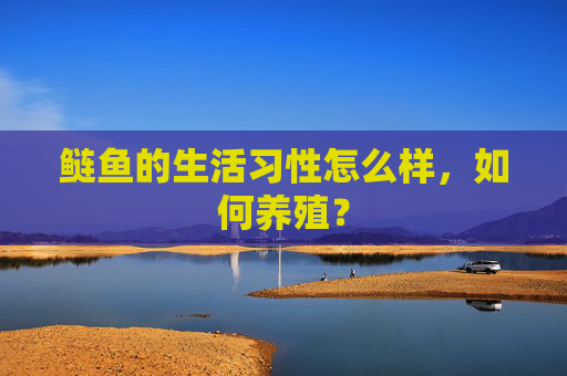 鲢鱼的生活习性怎么样，如何养殖？