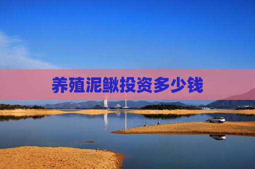 养殖泥鳅投资多少钱