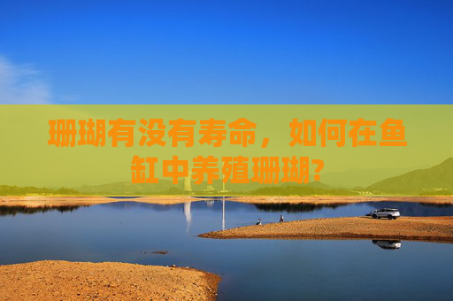 珊瑚有没有寿命，如何在鱼缸中养殖珊瑚?