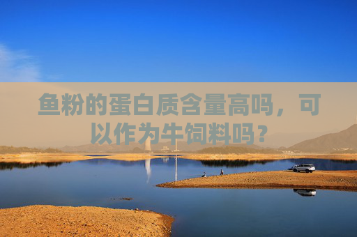 鱼粉的蛋白质含量高吗，可以作为牛饲料吗？