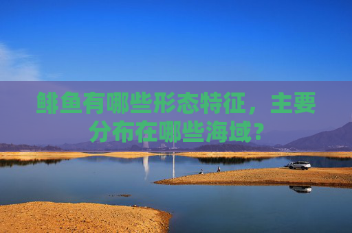 鲱鱼有哪些形态特征，主要分布在哪些海域？