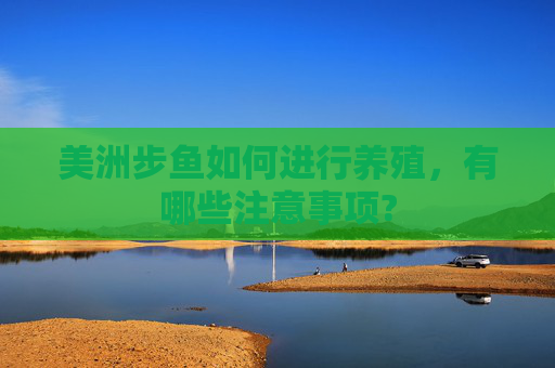 美洲步鱼如何进行养殖，有哪些注意事项?