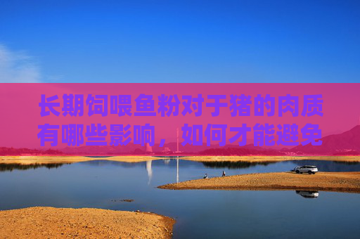 长期饲喂鱼粉对于猪的肉质有哪些影响,如何才能避免?