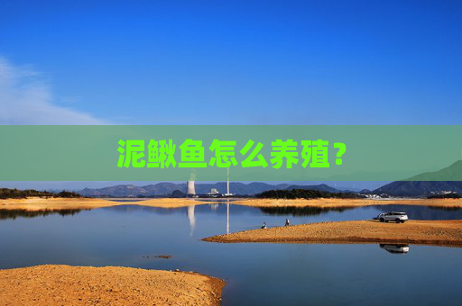 泥鳅鱼怎么养殖？