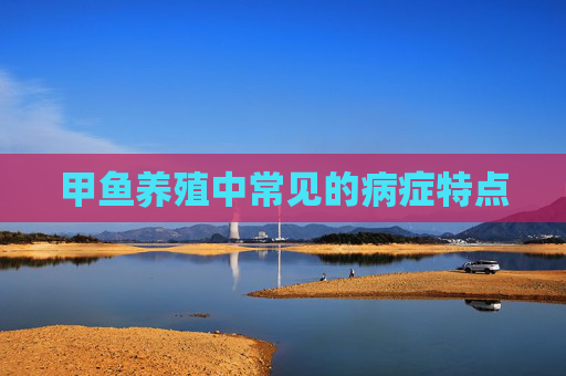 甲鱼养殖中常见的病症特点