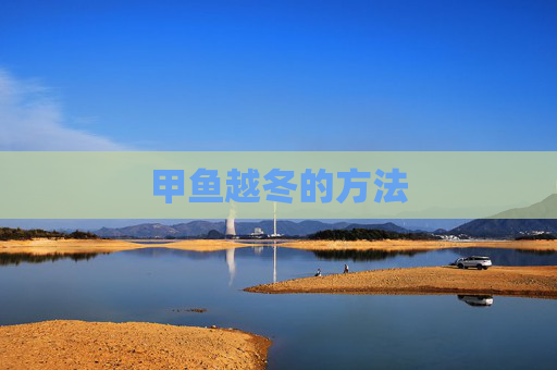甲鱼越冬的方法