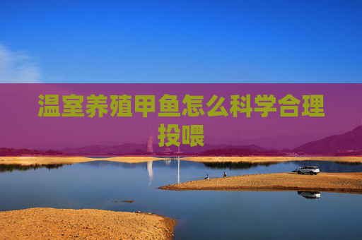 温室养殖甲鱼怎么科学合理投喂