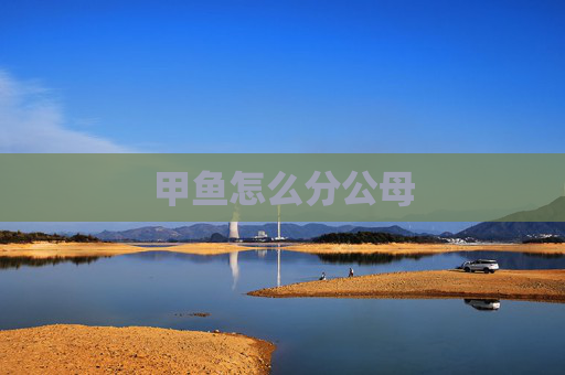 甲鱼怎么分公母