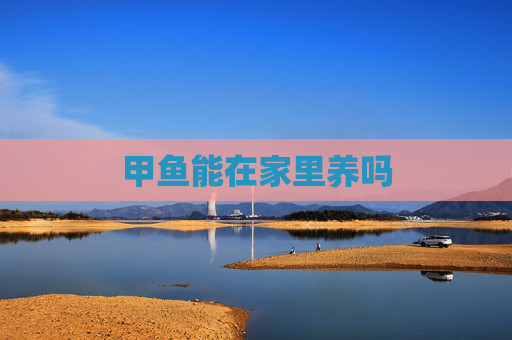 甲鱼能在家里养吗