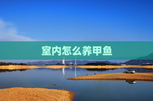 室内怎么养甲鱼