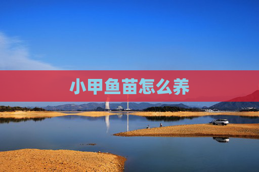 小甲鱼苗怎么养