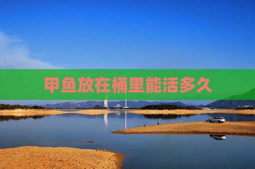 甲鱼放在桶里能活多久