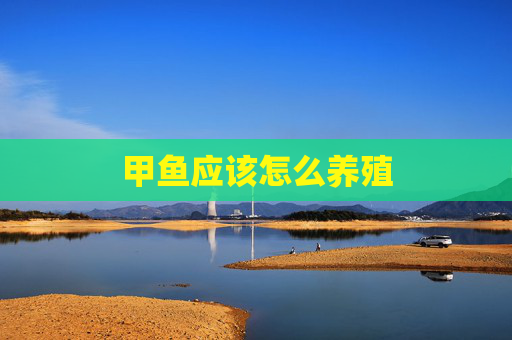 甲鱼应该怎么养殖