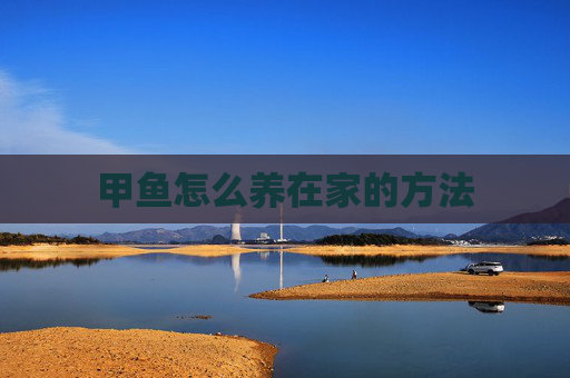 甲鱼怎么养在家的方法