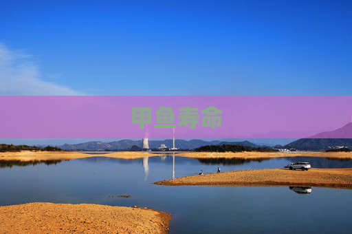 甲鱼寿命