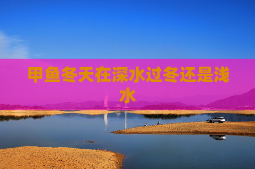 甲鱼冬天在深水过冬还是浅水