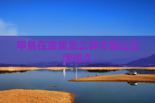 甲鱼在家里怎么养才能让它活得久