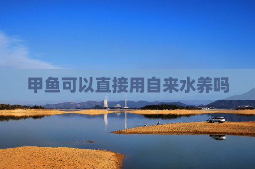 甲鱼可以直接用自来水养吗
