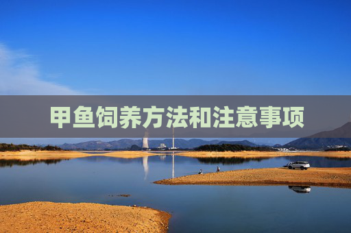 甲鱼饲养方法和注意事项