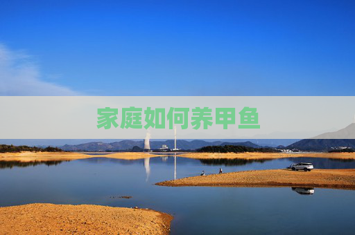 家庭如何养甲鱼