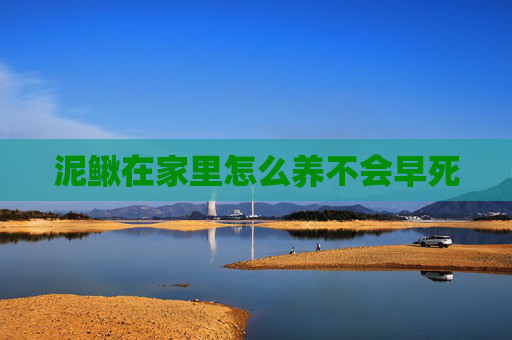 泥鳅在家里怎么养不会早死