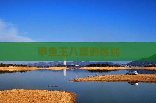 甲鱼王八鳖的区别