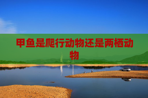 甲鱼是爬行动物还是两栖动物