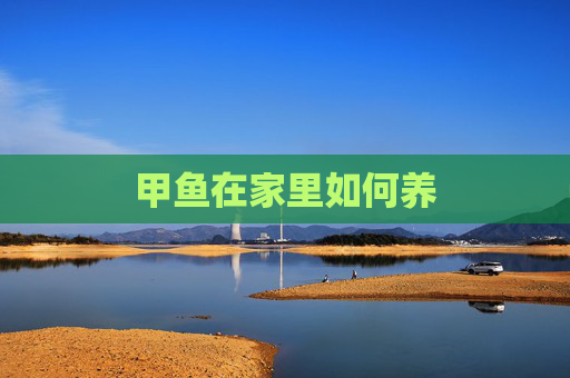 甲鱼在家里如何养
