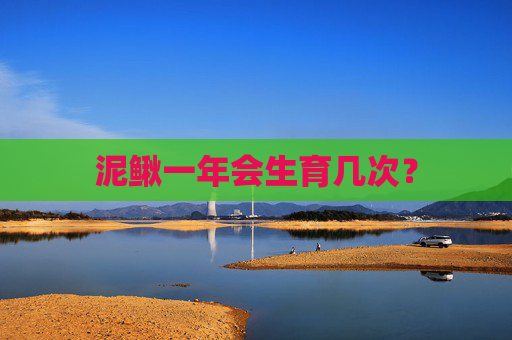 泥鳅一年会生育几次？