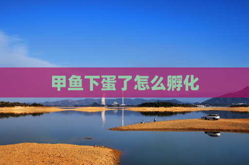 甲鱼下蛋了怎么孵化