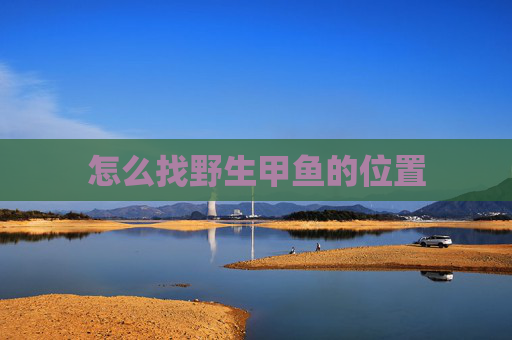 怎么找野生甲鱼的位置