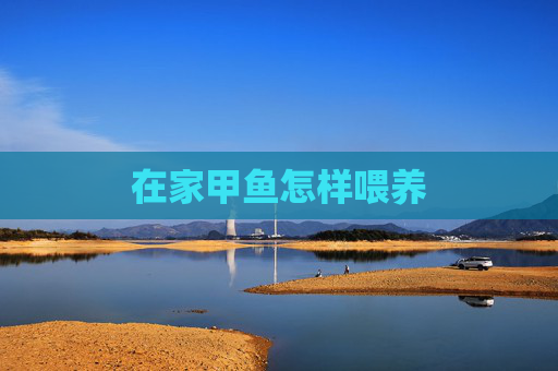 在家甲鱼怎样喂养