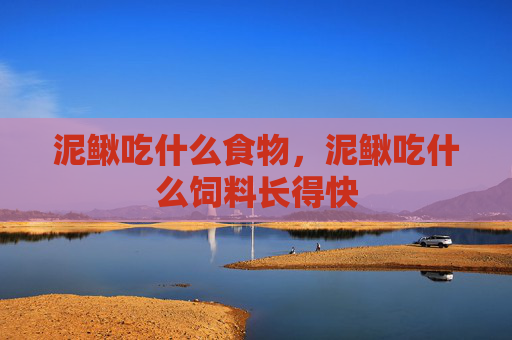 泥鳅吃什么食物，泥鳅吃什么饲料长得快
