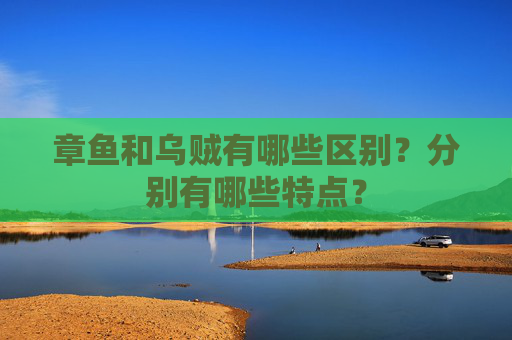 章鱼和乌贼有哪些区别？分别有哪些特点？