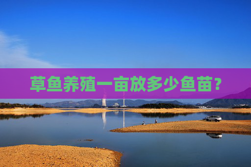 草鱼养殖一亩放多少鱼苗？