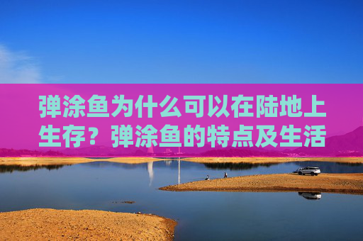 弹涂鱼为什么可以在陆地上生存？弹涂鱼的特点及生活环境