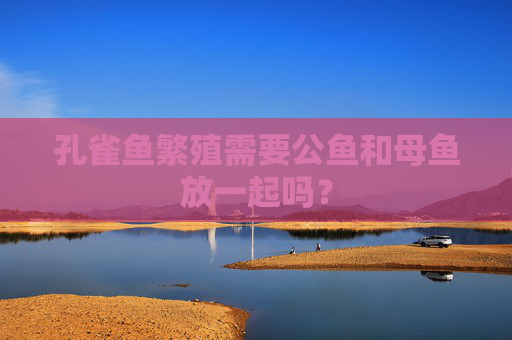 孔雀鱼繁殖需要公鱼和母鱼放一起吗?
